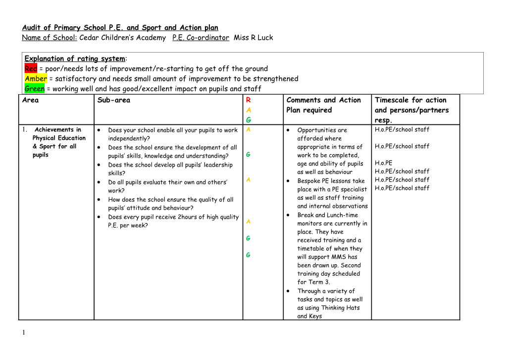 Audit of Primary School P.E. and Sport and Action Plan