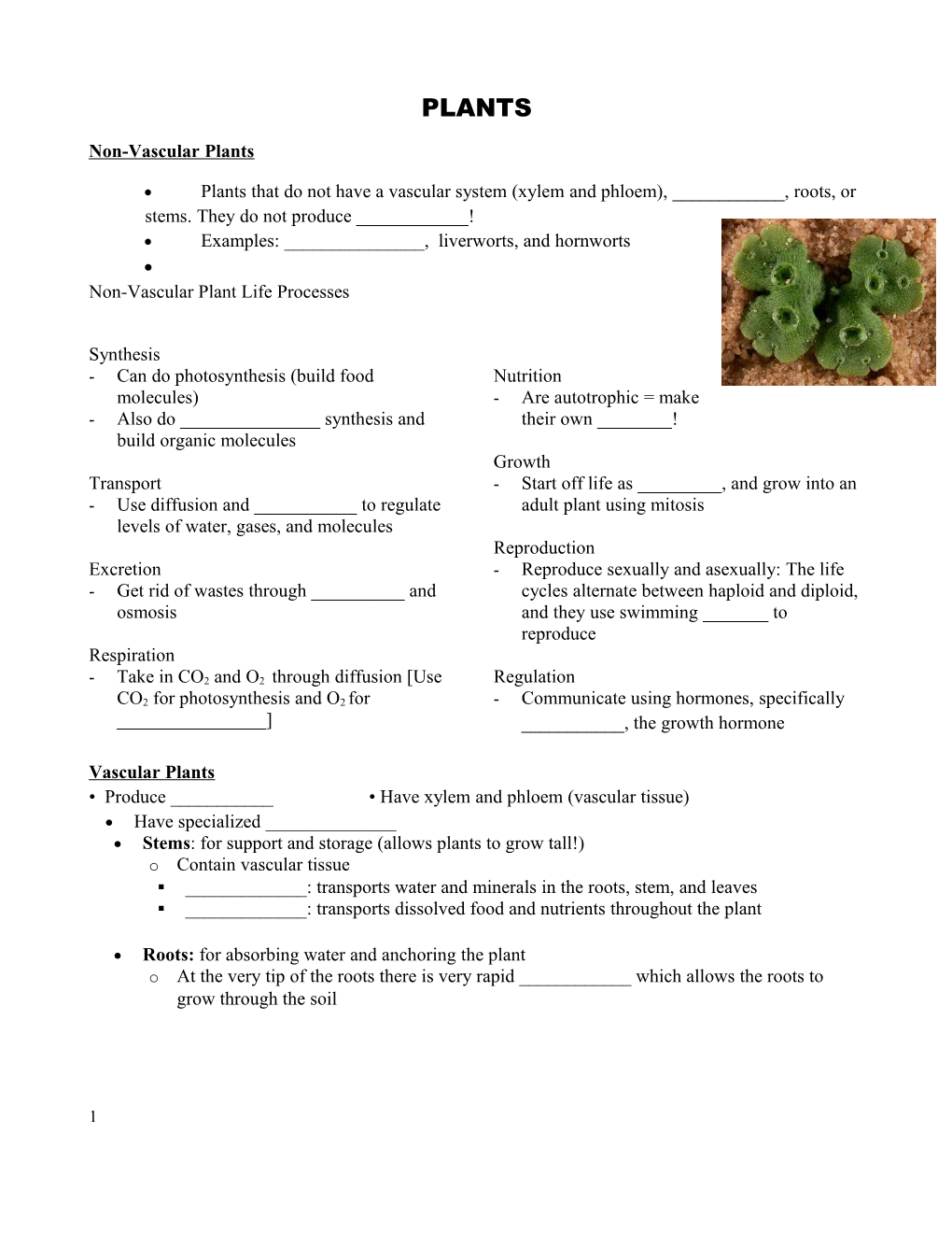 Non-Vascular Plants