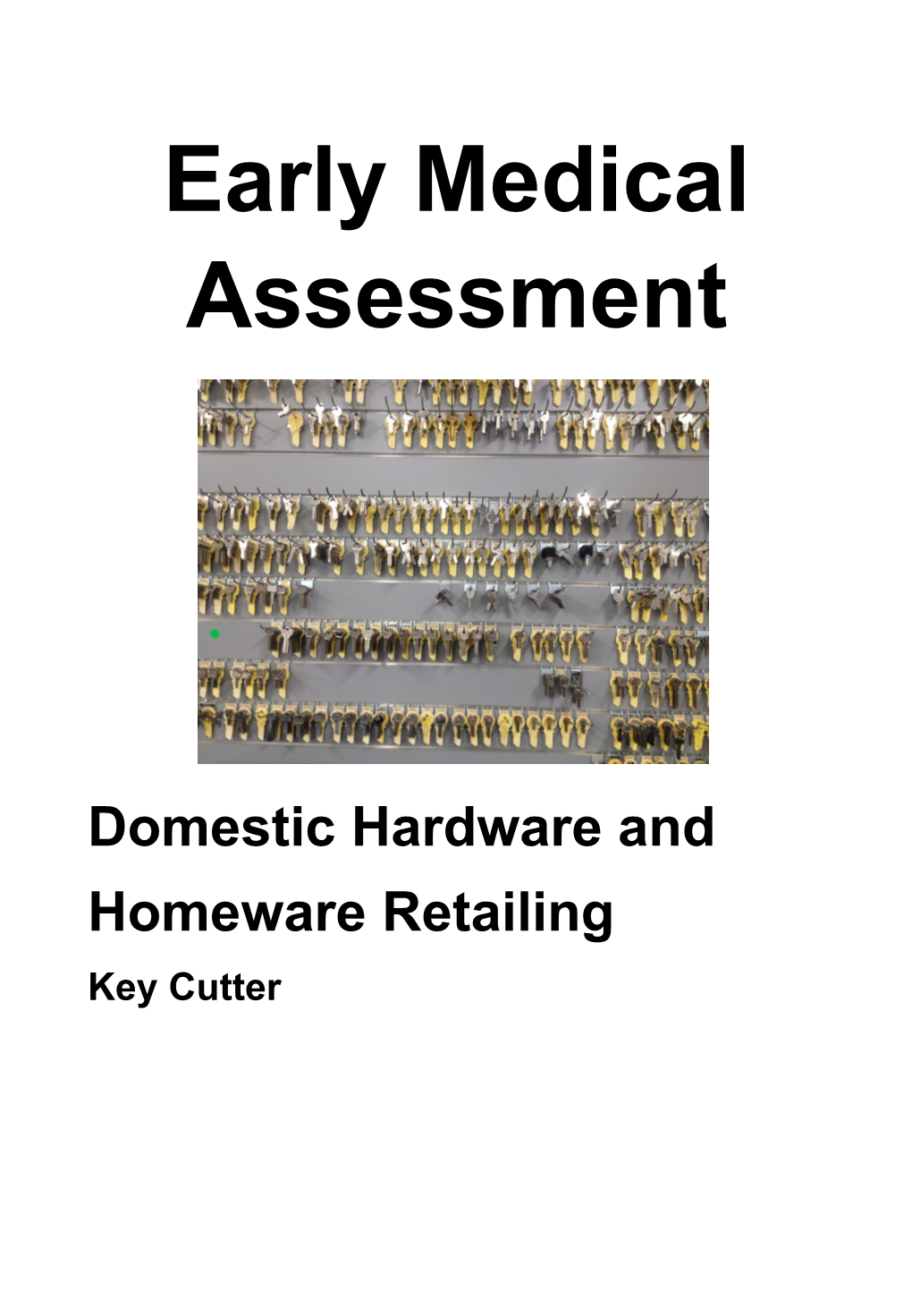 Domestic Hardware and Homeware Retailing - Key Cutter