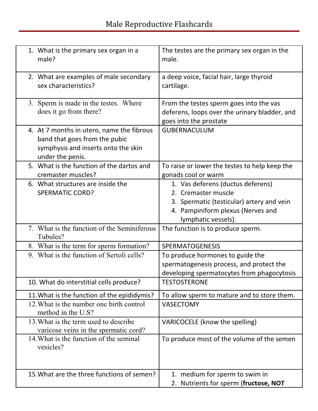 Male Reproductive Flashcards