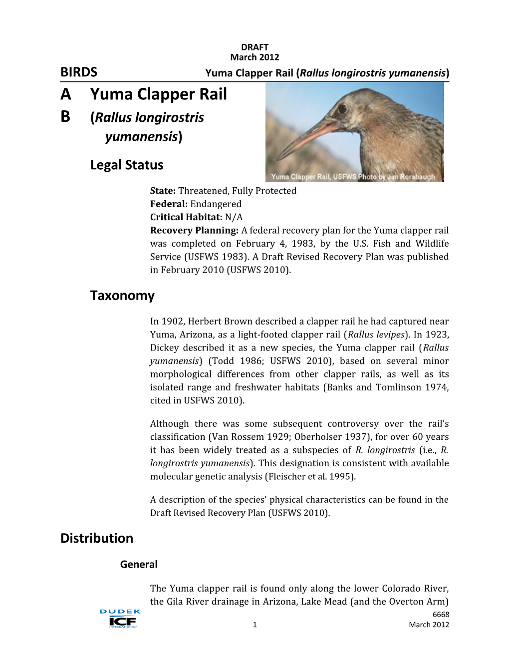DRECP Species Account - Yuma Clapper Rail