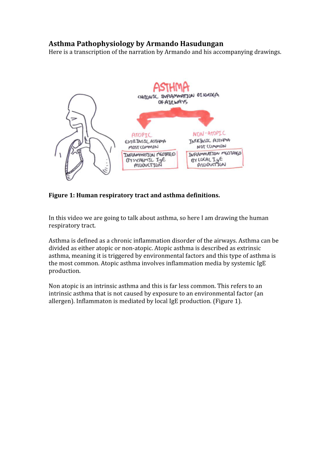 Asthma Pathophysiology by Armando Hasudungan