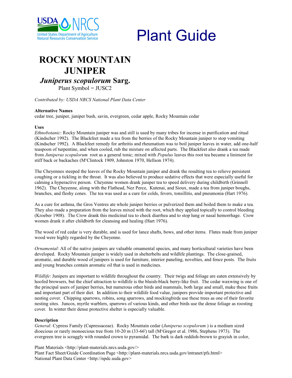 Rocky Mountain Juniper