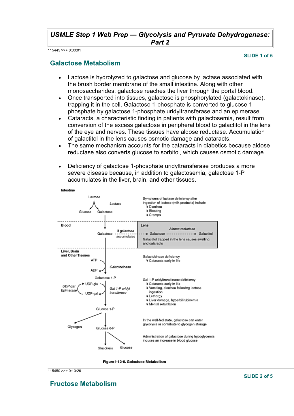 Lactose Is Hydrolyzed to Galactose and Glucose by Lactase Associated with the Brush Border