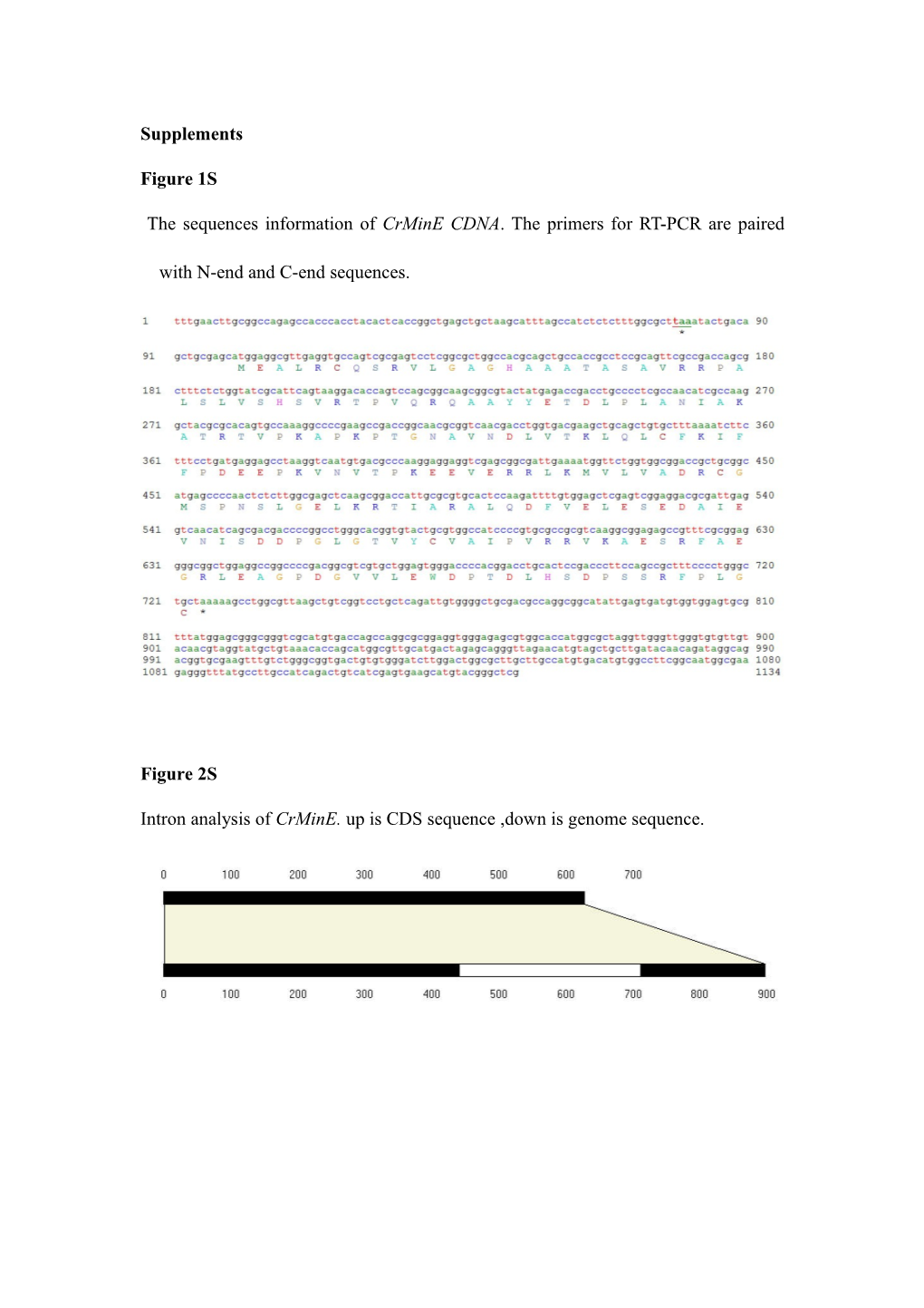 Intron Analysis of Crmine. up Is CDS Sequence ,Down Is Genome Sequence