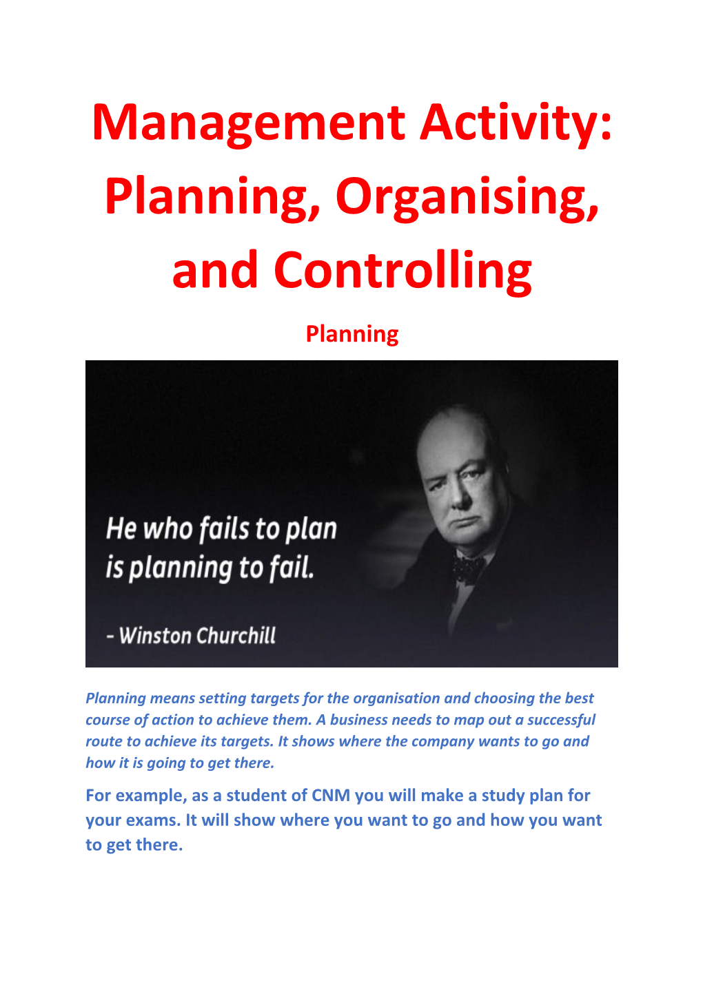 Management Activity: Planning, Organising, and Controlling