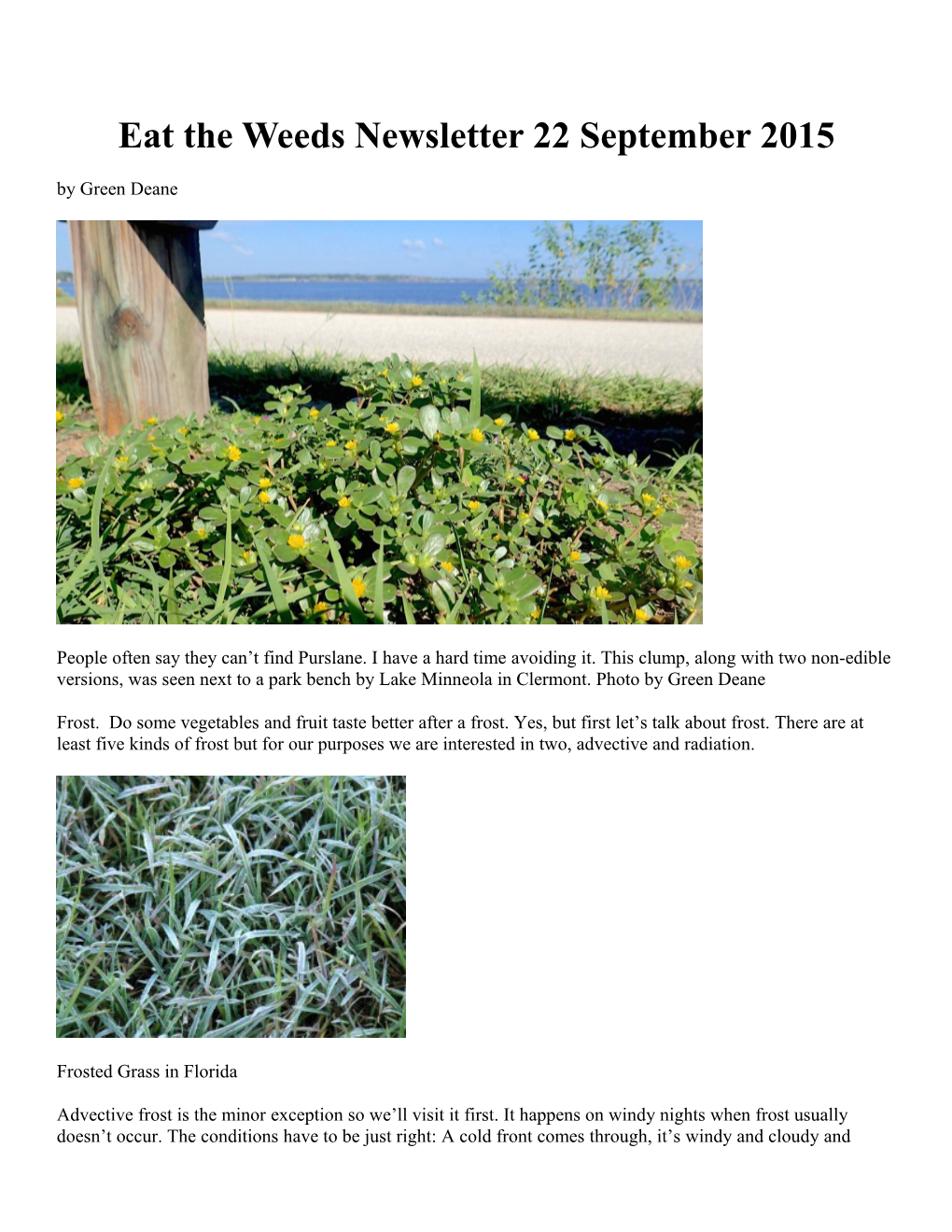 Eat the Weeds Newsletter 22 September 2015