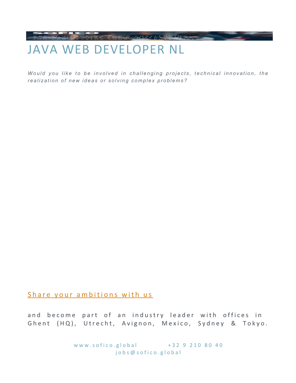 Java Web Developer Nl