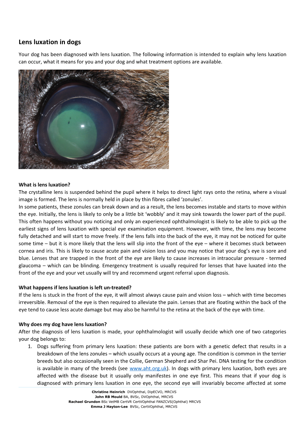 Lens Luxation in Dogs