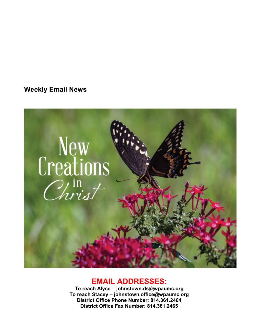 Weekly Email News