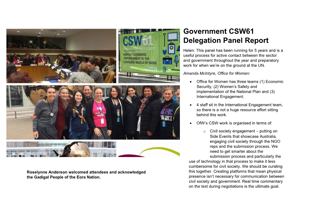 Government CSW61 Delegation Panel Report