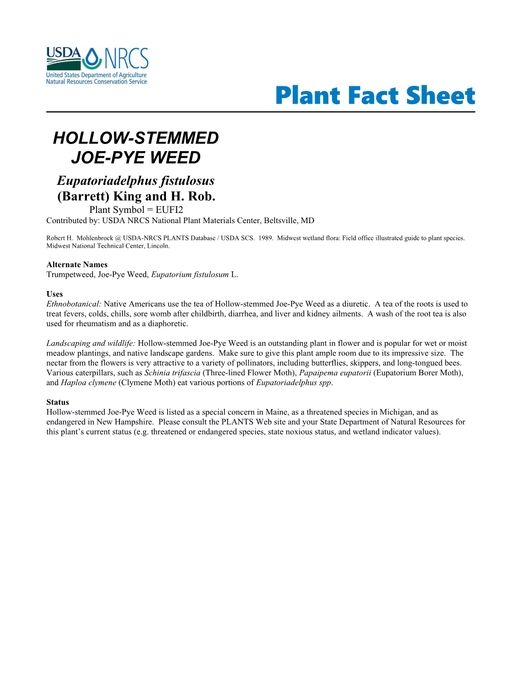 Hollow-Stemmed Joe-Pye Weed