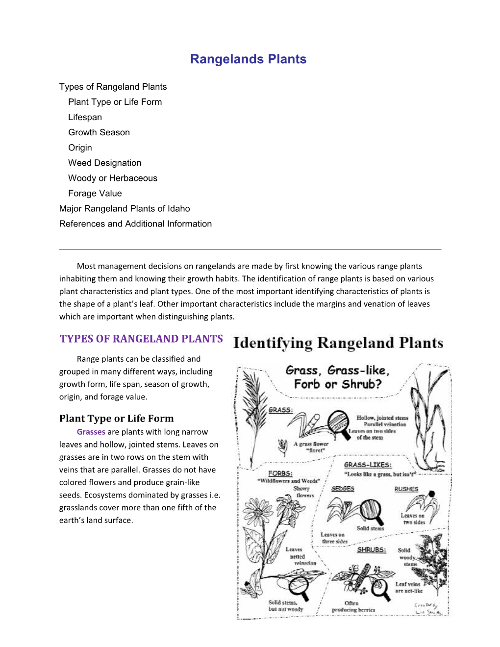 Background Information - Rangeland Plants