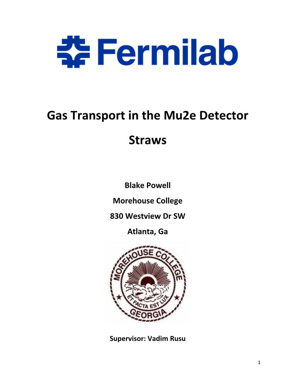 Gas Transport in the Mu2e Detector Straws