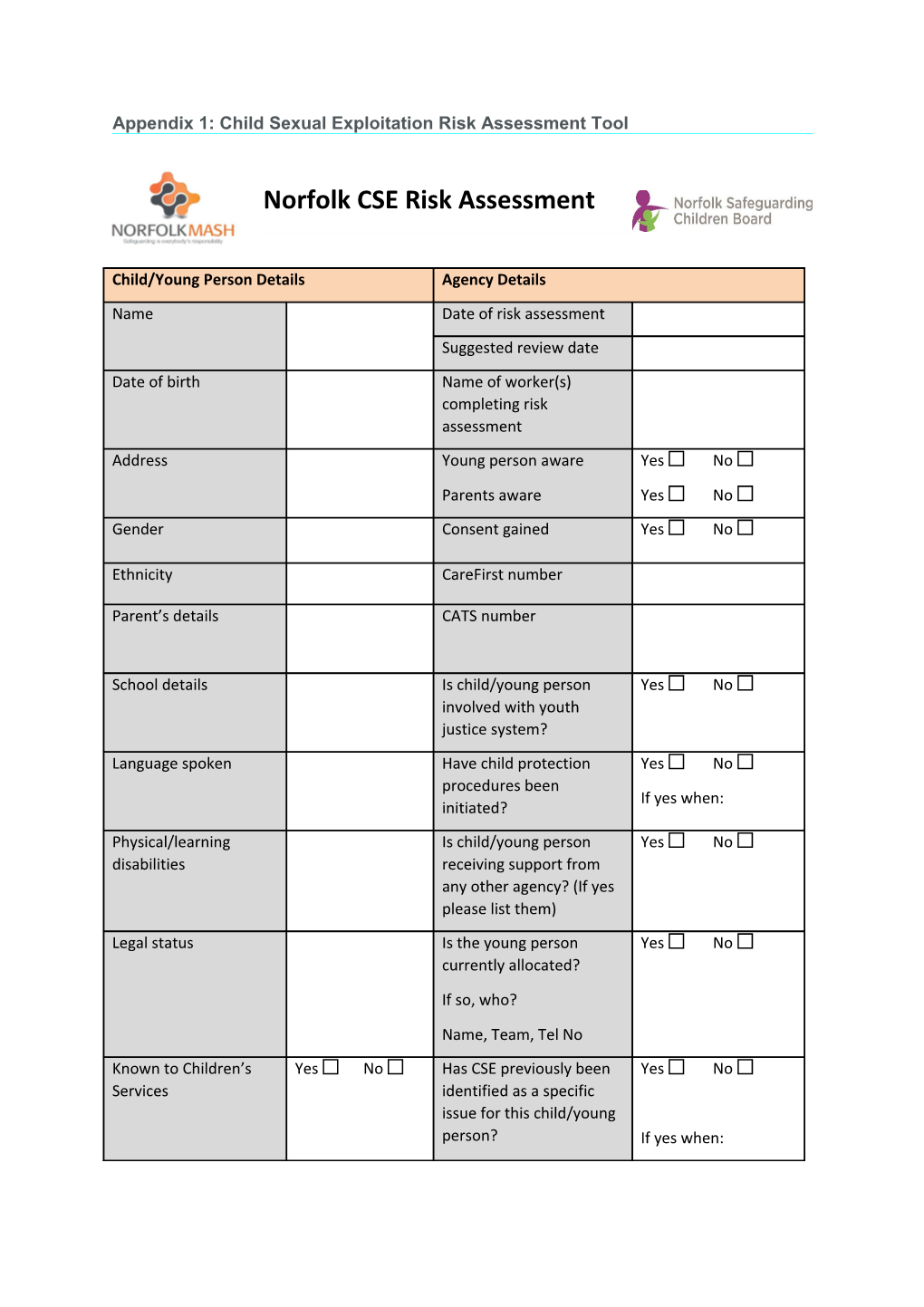 Appendix 1: Child Sexual Exploitation Risk Assessment Tool