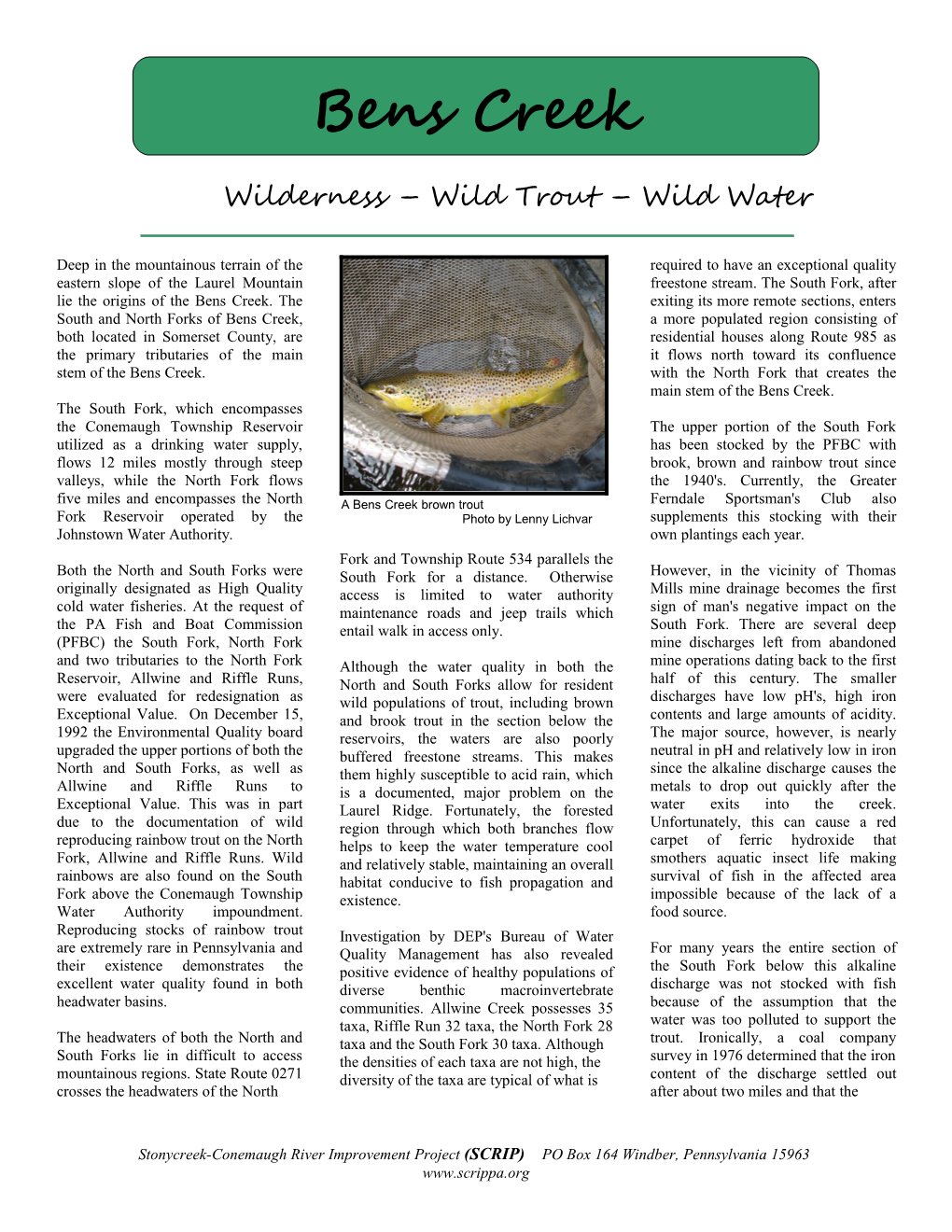 Wilderness Wild Trout Wild Water