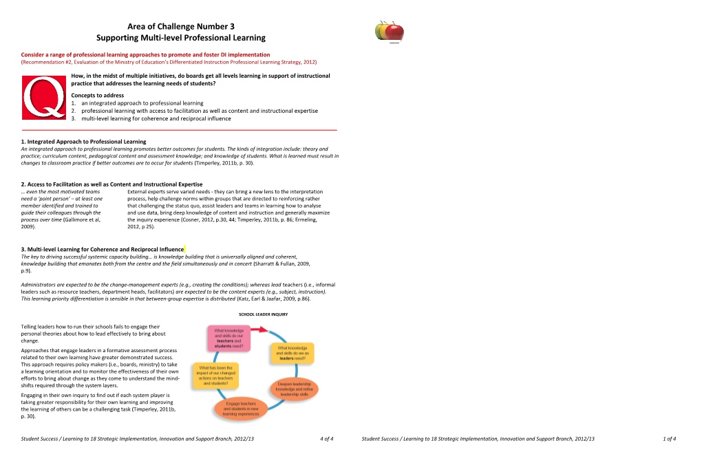 Supporting Multi-Level Professional Learning