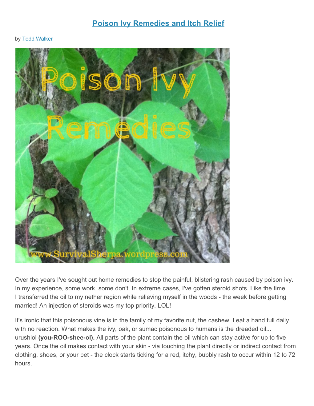 Poison Ivy Remedies and Itchrelief