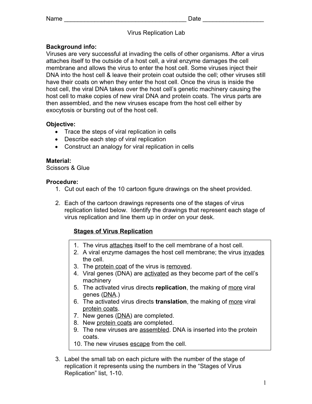 Virus Replication Lab