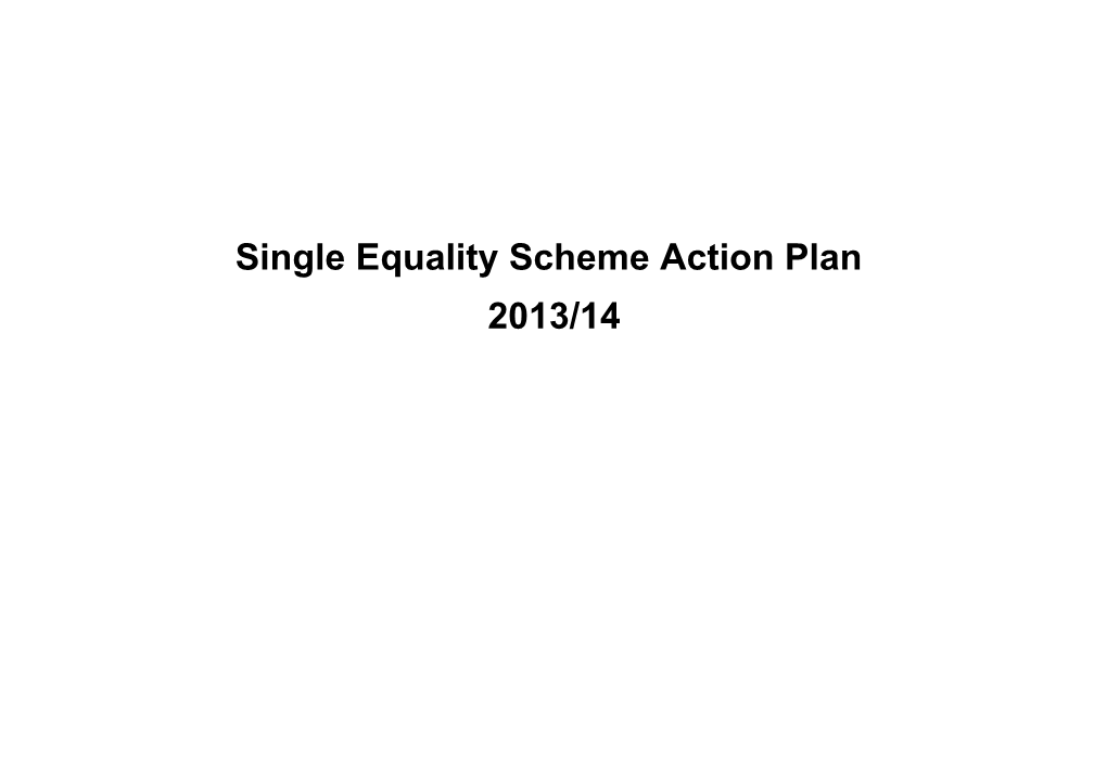Single Equality Scheme Action Plan