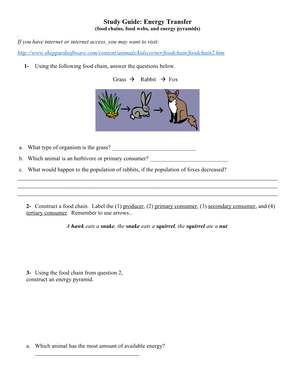 Food Chains, Food Webs, and Energy Pyramid Worksheet