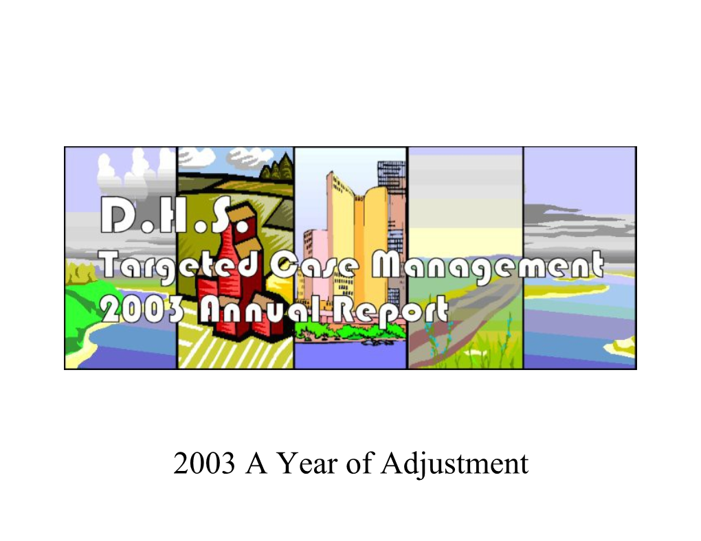 2003 a Year of Adjustment