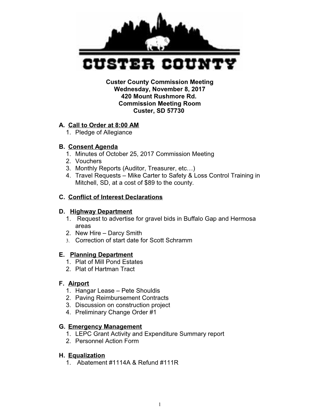 Custer County Auditor