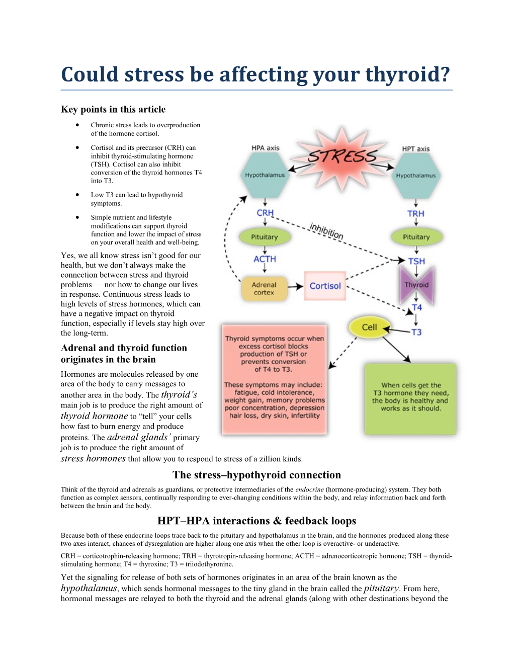 Could Stress Be Affecting Your Thyroid?