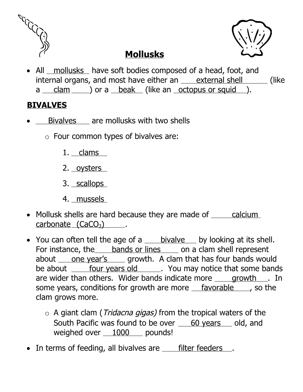 Bivalves Are Mollusks with Two Shells