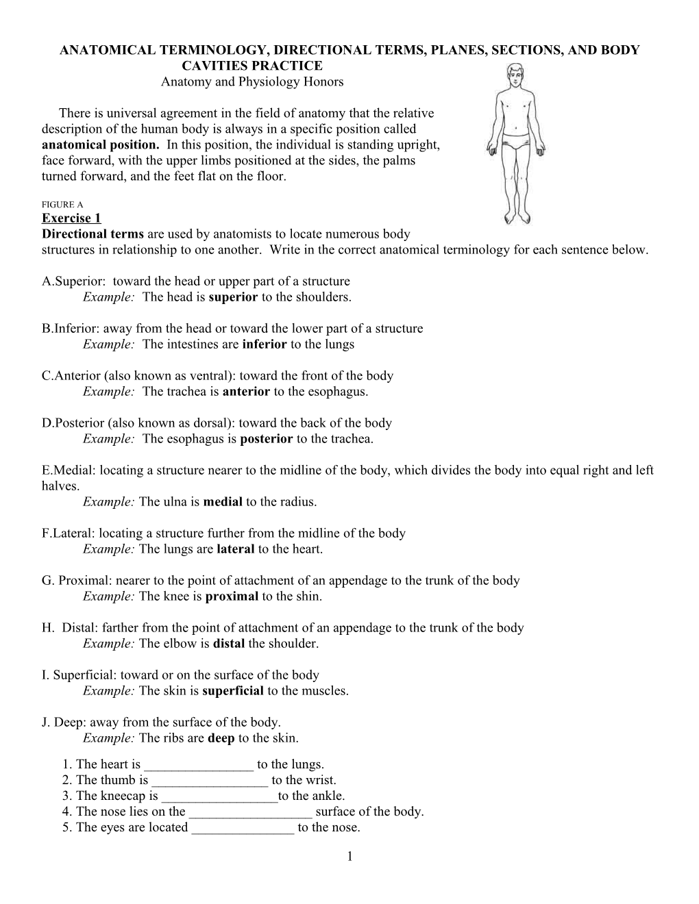 Anatomical Terminology, Directional Terms, Planes, Sections, and Body Cavities