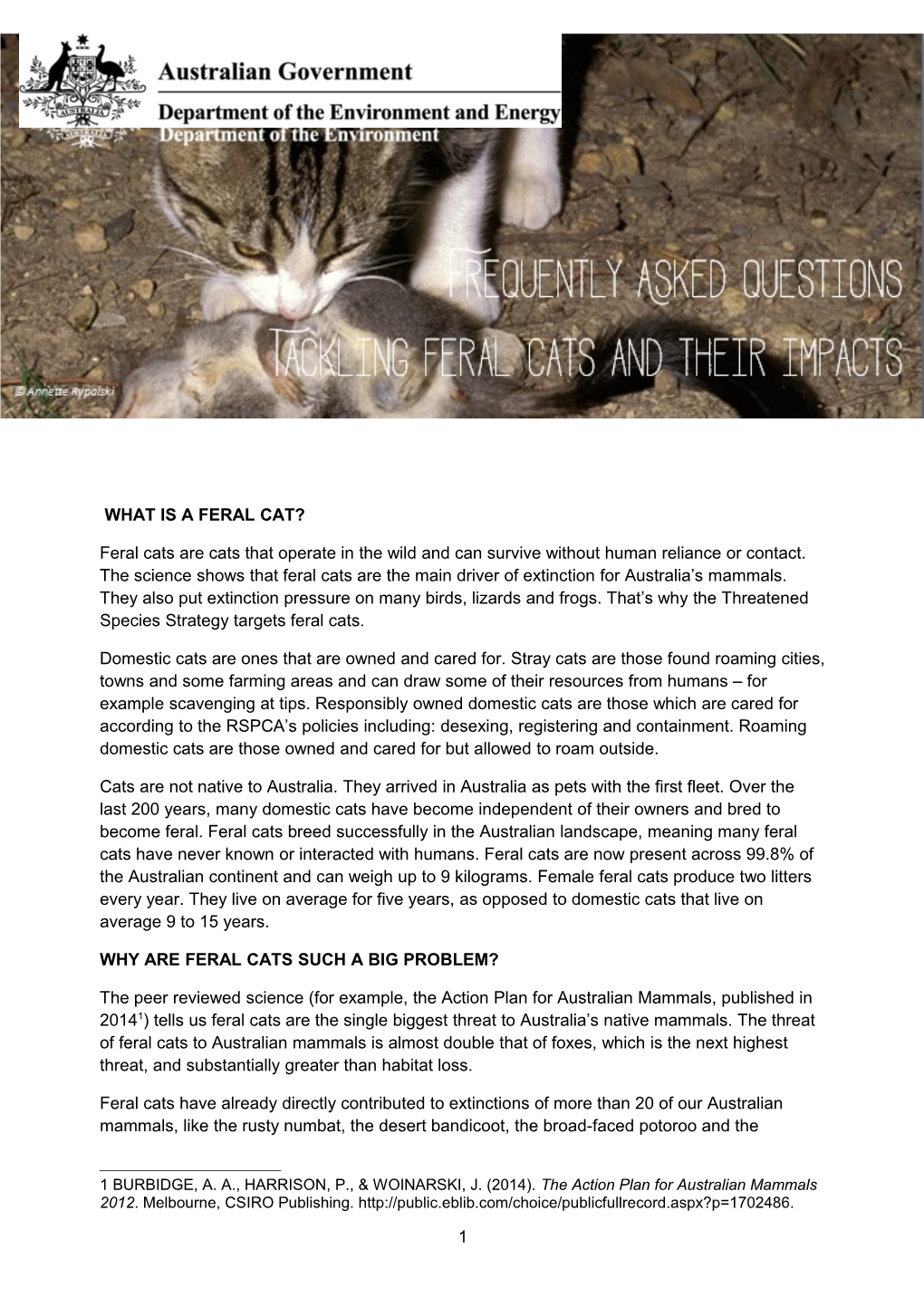 Tackling Feral Cats and Their Impacts - Frequently Asked Questions