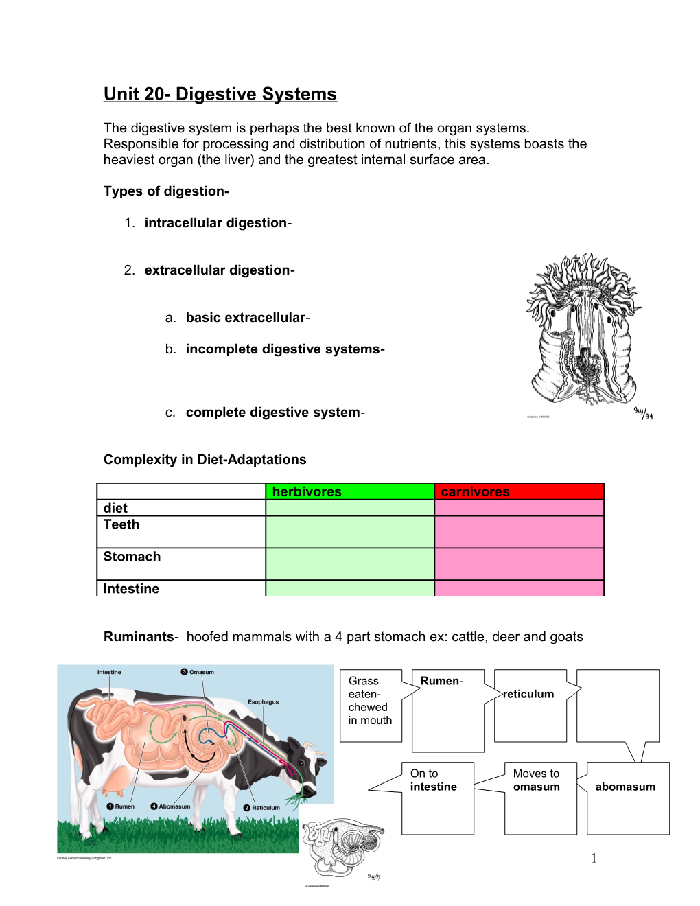 Unit 20- Digestive Systems