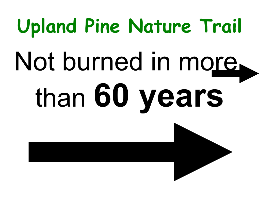 Upland Pine Nature Trail