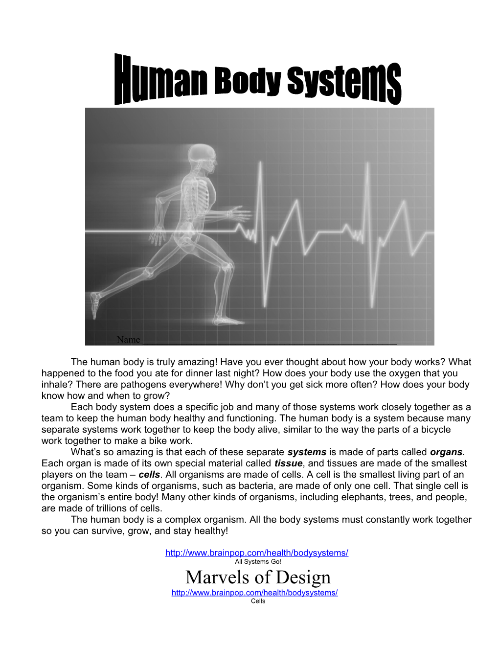 Muscular and Skeletal Systems Review