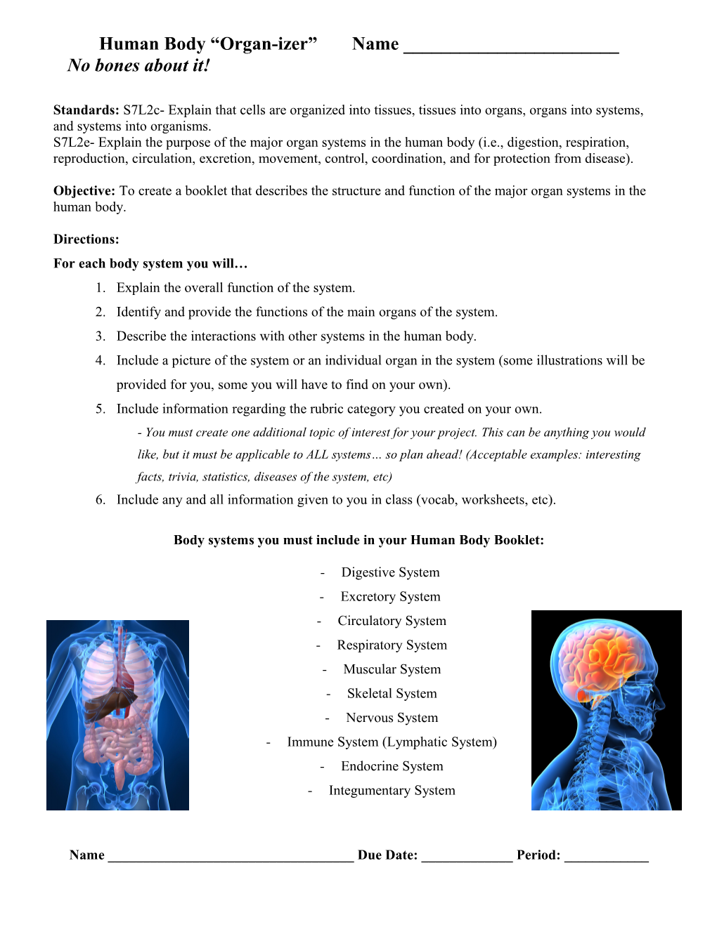 Human Body Booklet