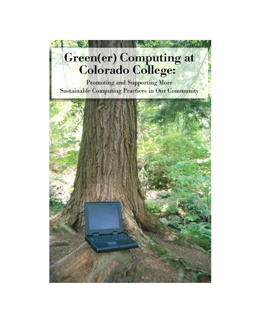 Green(Er) Computing
