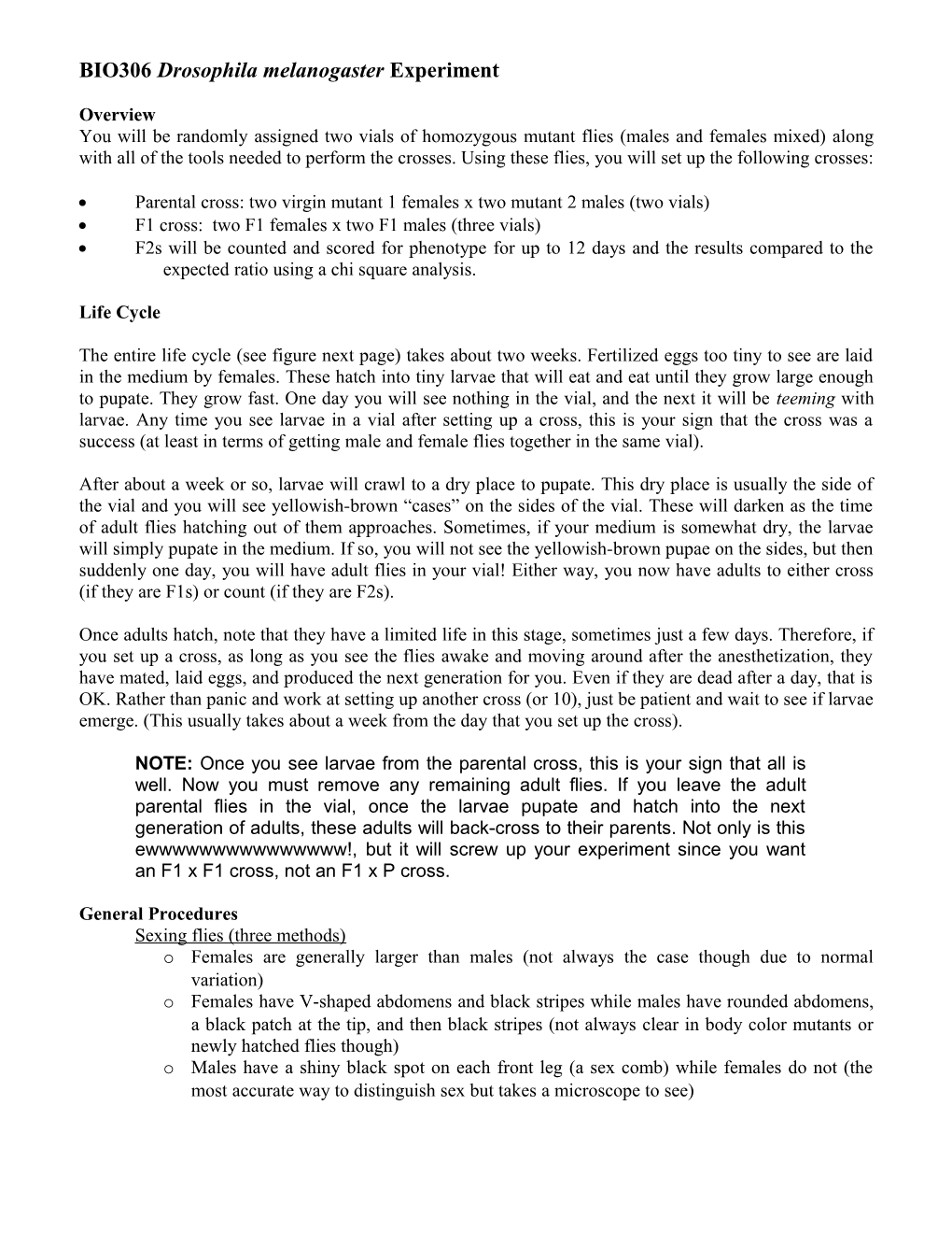 BIO306 Drosophila Melanogaster Experiment