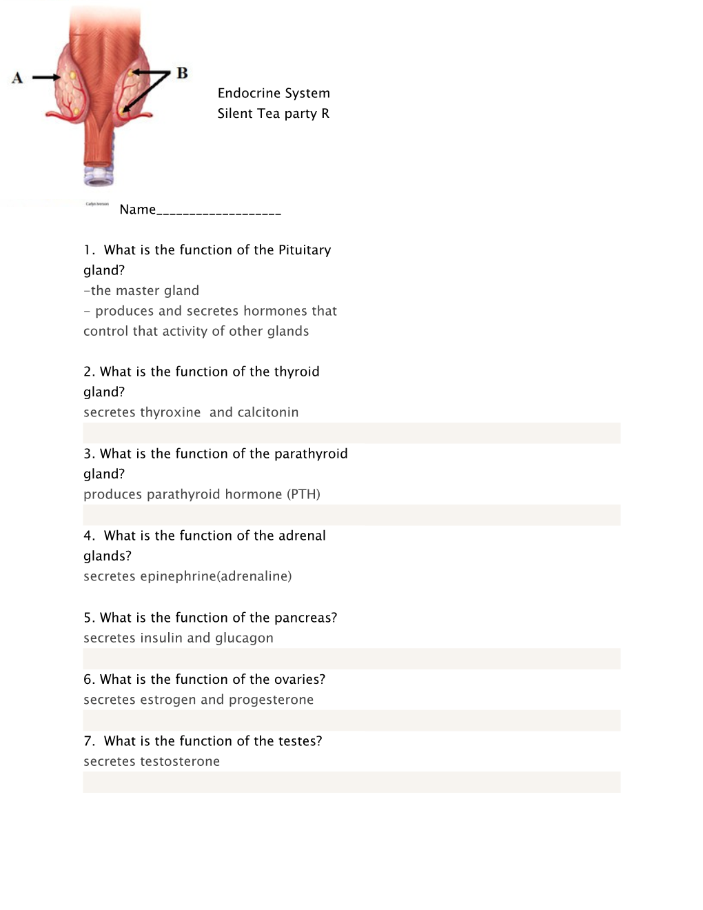 1. What Is the Function of the Pituitary Gland?