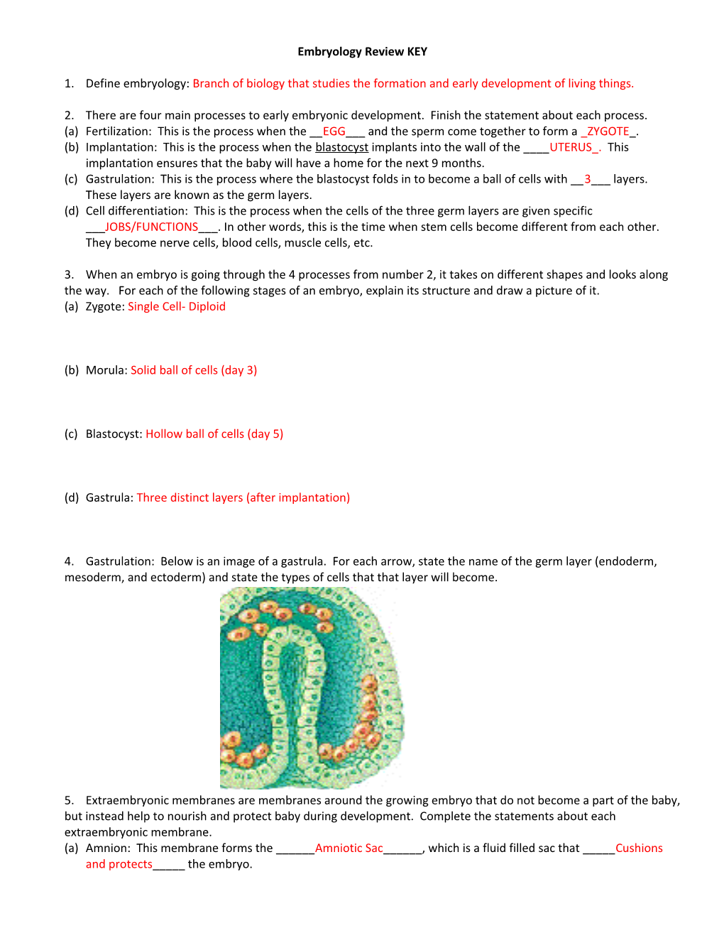 Embryology Review KEY