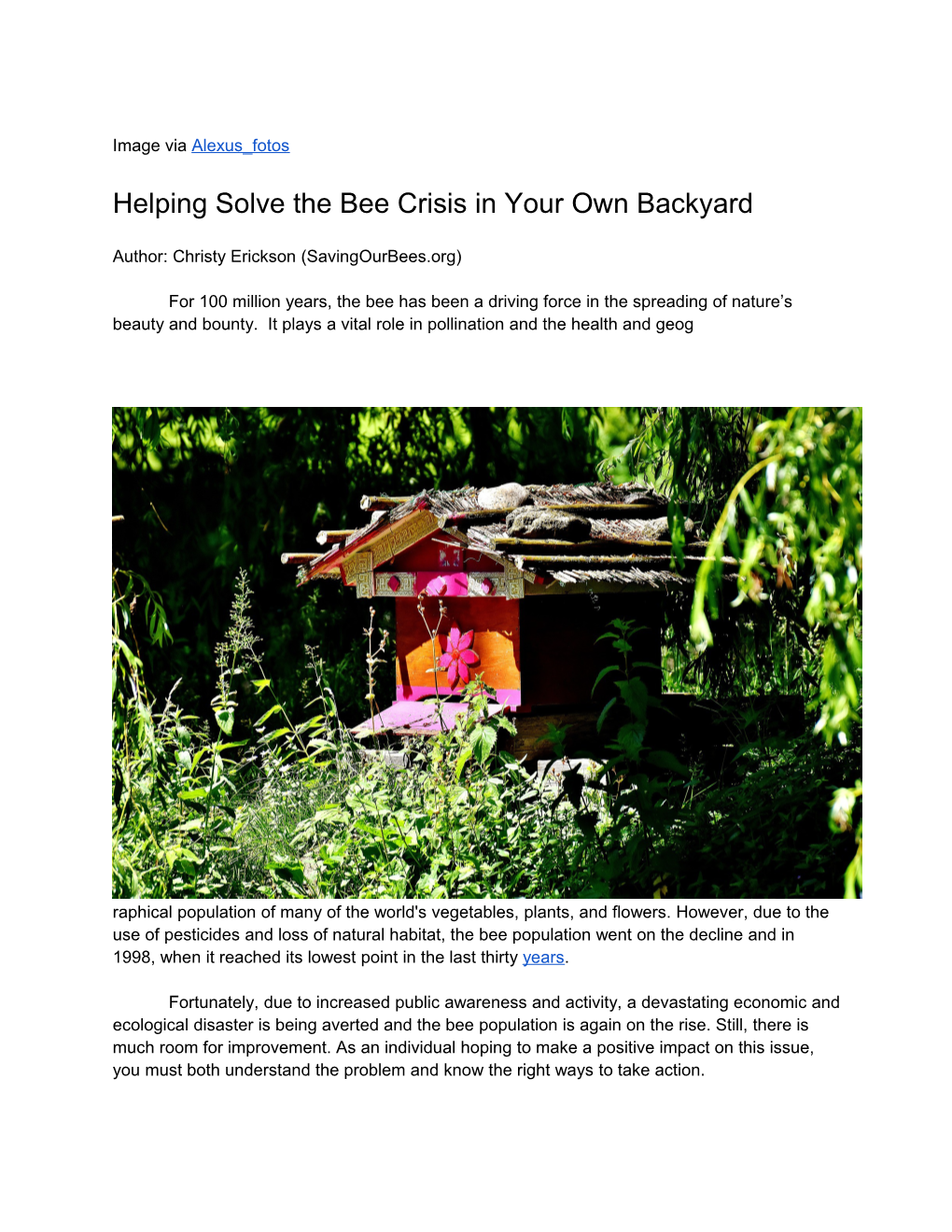 Helping Solve the Bee Crisis in Your Own Backyard
