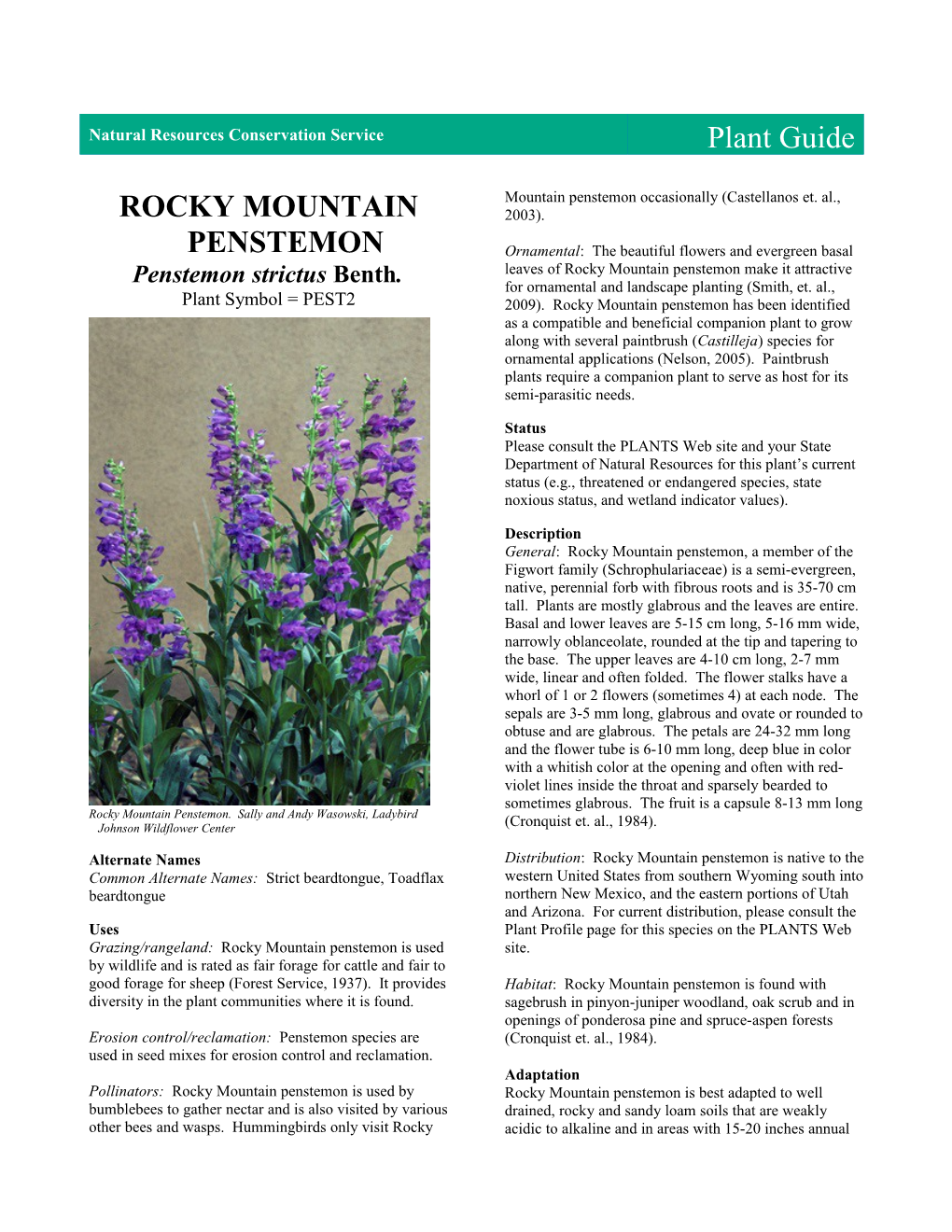 Plant Guide for Rocky Mountain Penstemon Penstemon Strictus