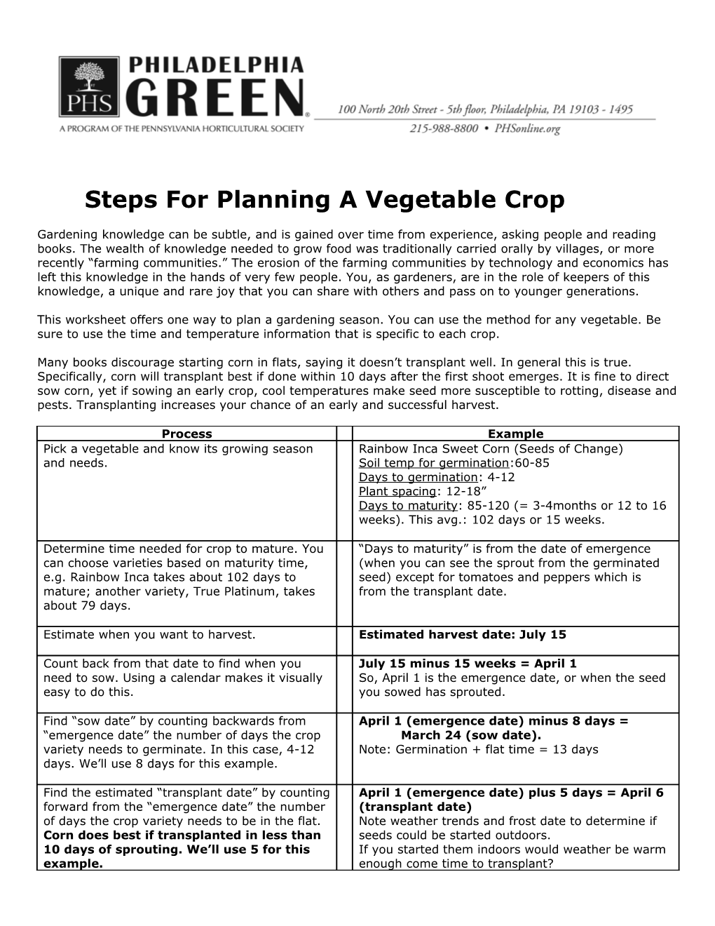 Steps for Planning a Vegetable Crop