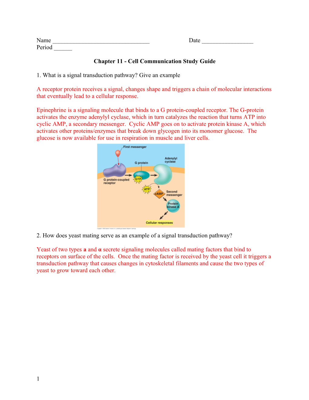 Chapter 11 - Cell Communication Study Guide