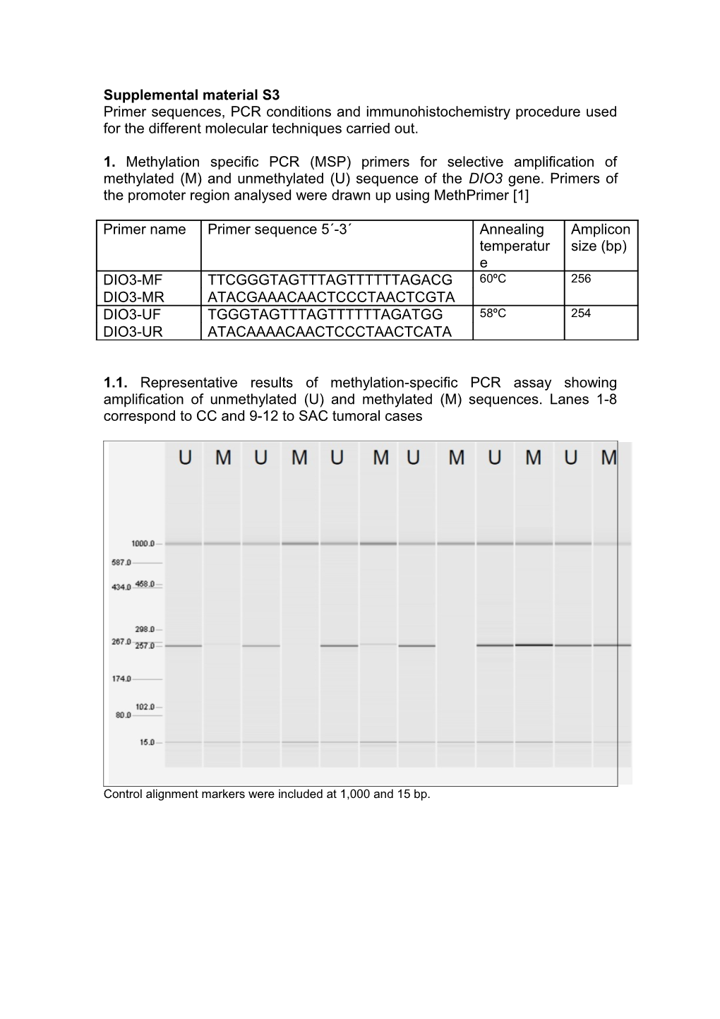 Primer Sequences and PCR Conditions Used for the Different Molecular Techniques Carried Out