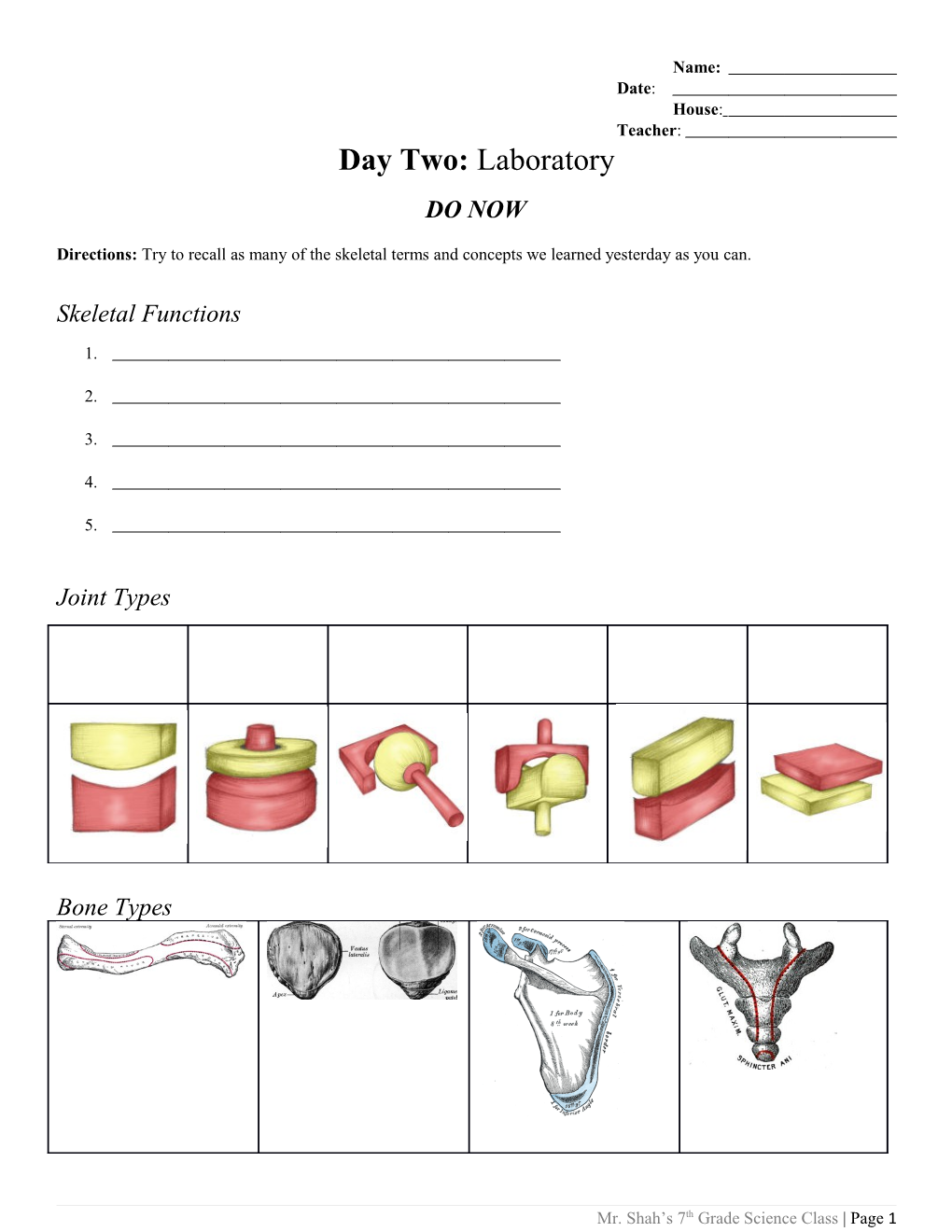 Directions:Try to Recall As Many of the Skeletal Terms and Concepts We Learned Yesterday