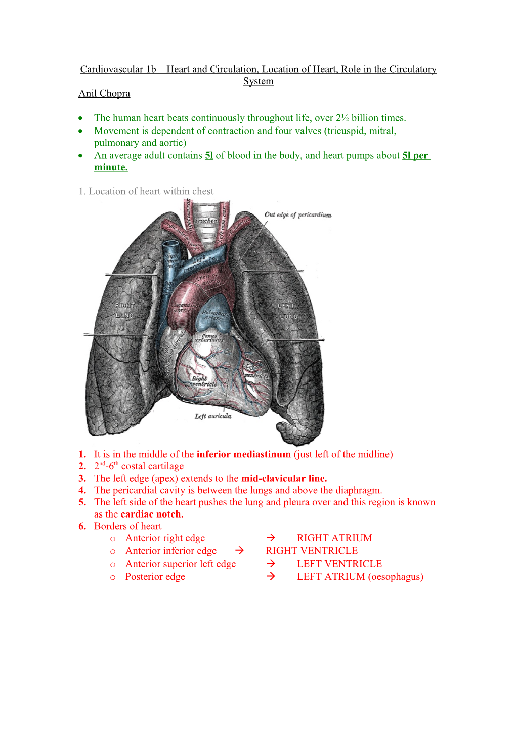 Cardiovascular 1B Heart and Circulation, Location of Heart, Role in the Circulatory System