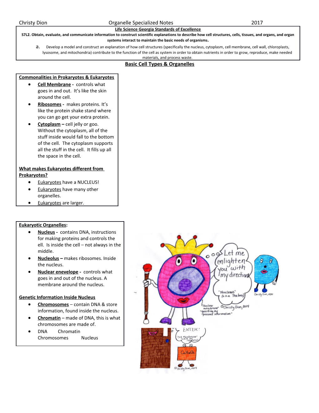 Basic Cell Types & Organelles
