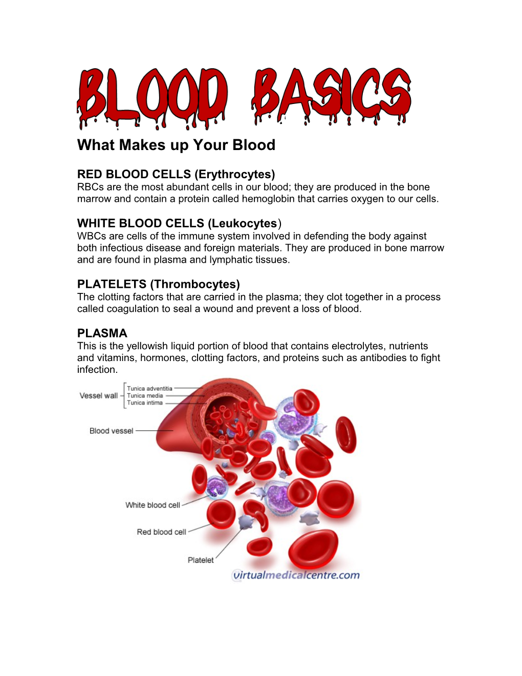 What Makes up Your Blood