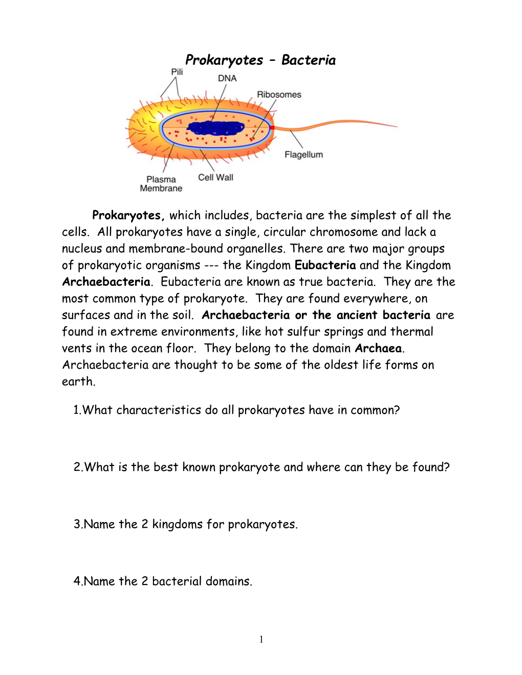 Prokaryotes Bacteria