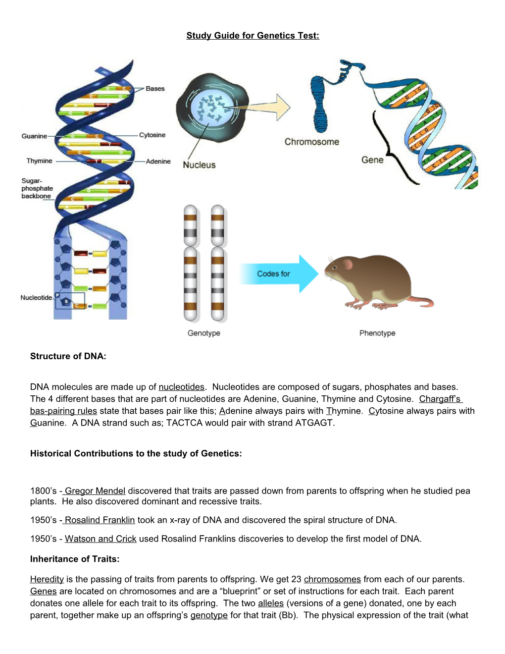 Study Guide for Genetics Test